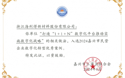 公司入选2024嘉兴市民营企业数字化转型优良案例